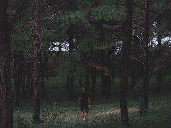 Rear view of man walking on field by trees in forest