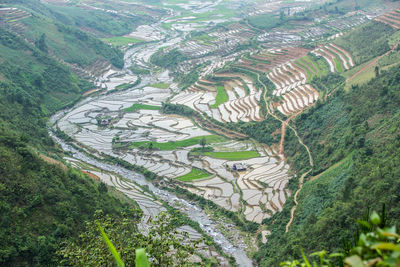 High angle view of landscape