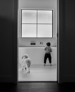 Dog standing by window