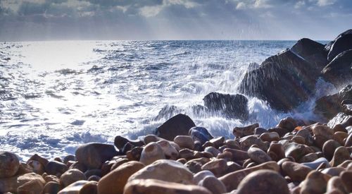 Scenic view of sea against sky