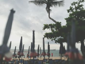 People at beach against sky