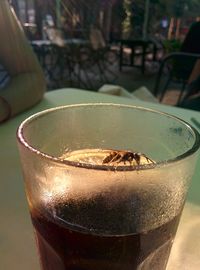 Close-up of coffee cup