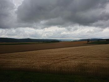 Scenic view of agricultural field against sky