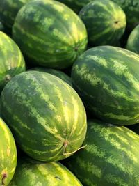 Full frame shot of watermelons for sale at market