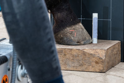 Radiographic x-ray imaging of the equine foot  provide the veterinarian and farrier wealth info