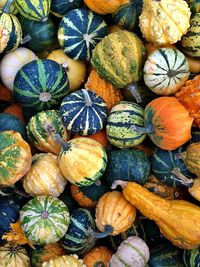 Full frame shot of pumpkins at market