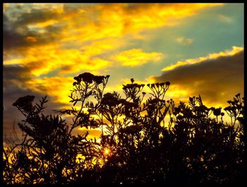 Low angle view of cloudy sky at sunset