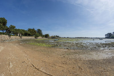 Scenic view of beach against blue sky