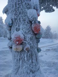 Hand crafted knit balls are decorated on a tree on the street on freezing day. snow covers them. 