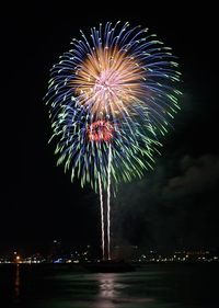 Low angle view of firework display at night