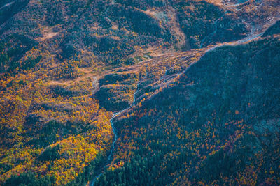 View from above on the slopes of the mountains, overgrown with forest in autumn. mountains, tourism.