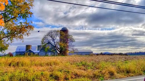 Houses on field against sky