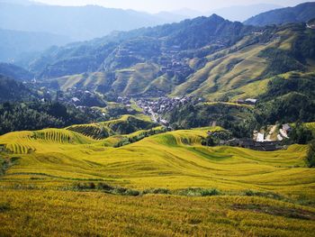 Scenic view of agricultural field