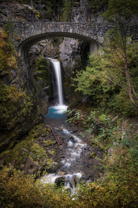 Scenic view of waterfall in forest