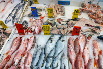 Fresh fish for sale at a market in chinatown, new york