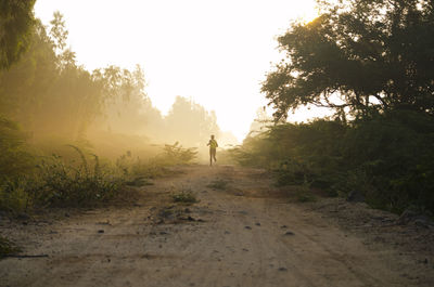 Man walking on footpath by road in forest against sky