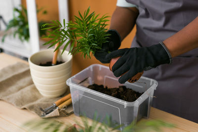 Midsection of person planting potted plant