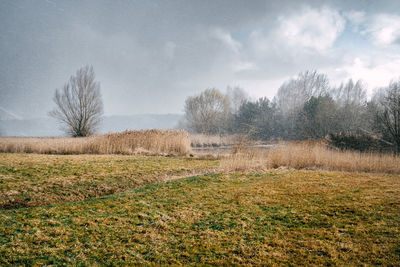 nature