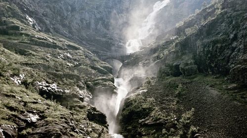 Scenic view of waterfall in forest