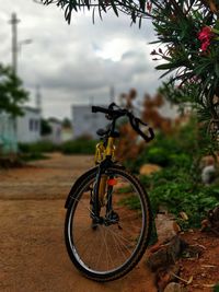 Close-up of bicycle parked by tree