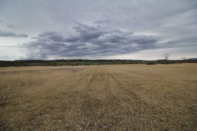 Scenic view of field against sky