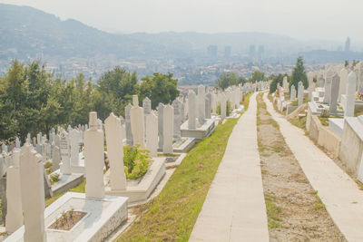 Panoramic view of cemetery