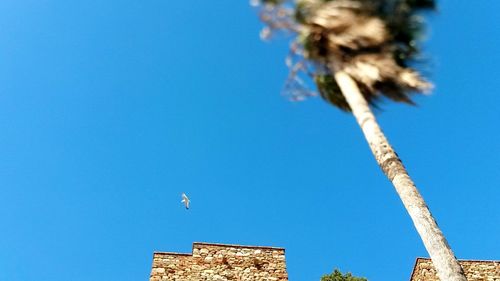 Low angle view of blue sky