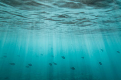 Full frame shot of swimming pool