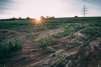 Scenic view of field against sky during sunset