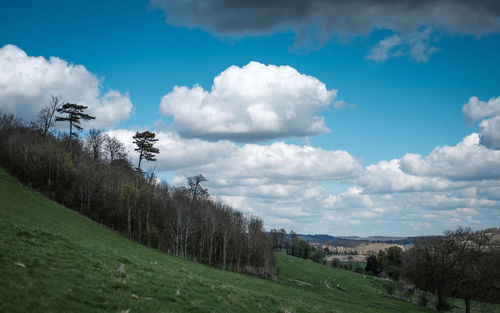 Scenic view of landscape against cloudy sky