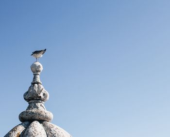 Low angle view of bird perching against clear blue sky