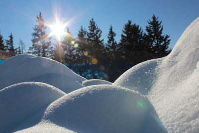 Snow covered trees against sky on sunny day