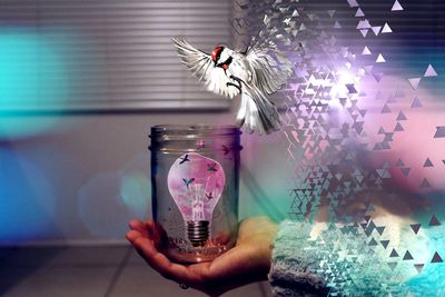 Digital composite image of hand holding light bulb in jar with bird