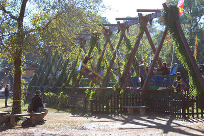 Trees in park