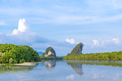 Panoramic view of trees by plants against sky