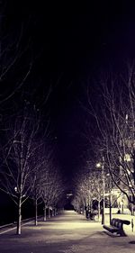 Empty road along trees at night