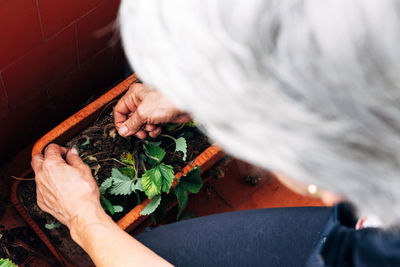 Old woman gardening on balcony