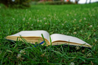 Close-up of open book on field