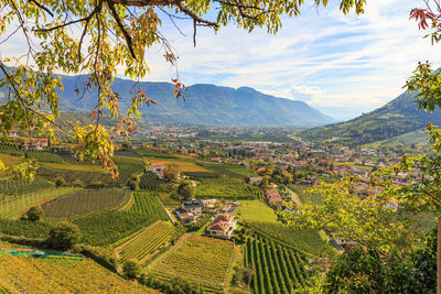 High angle view of trees and mountains against sky