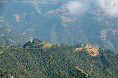 High angle view of trees on landscape