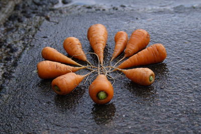 Ten of carrots