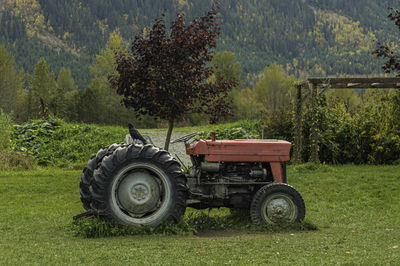 Tractor on field against trees in forest