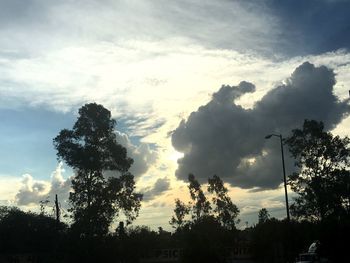 Low angle view of silhouette trees against sky