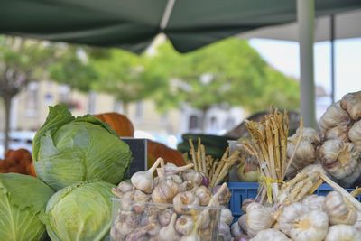 Bundles of garlic, heads white cabbage and  fruit and vegetable for sale at local farmers market. 