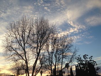 Low angle view of bare tree against sky