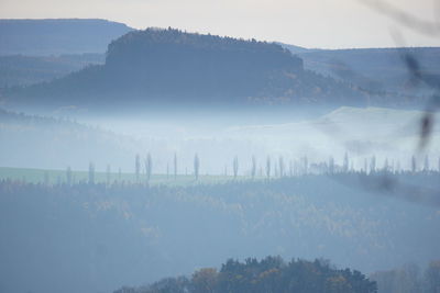 fog
