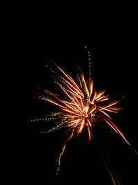 Firework display at night