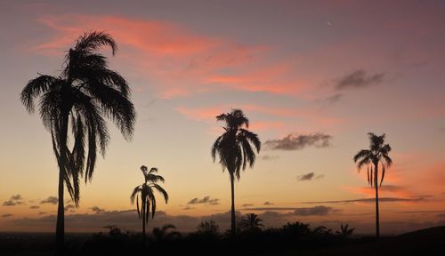 Silhouette palm trees against romantic sky at sunset