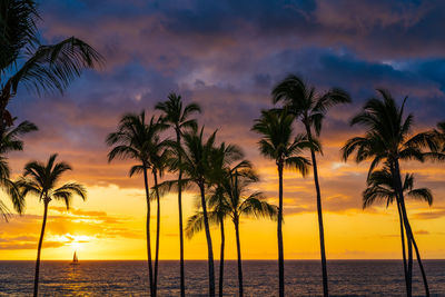 Silhouette palm trees by sea against sky at sunset