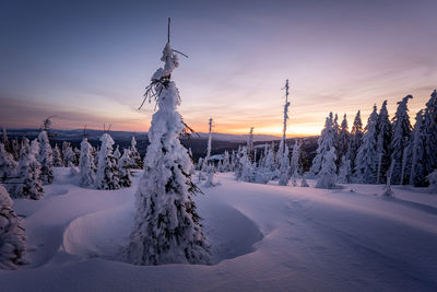 snow